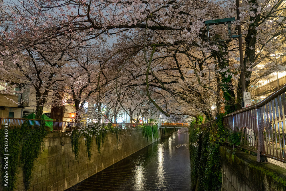 canal canal