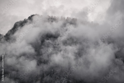Dramatic fog over forest and dark mood in the mountains - K  nigssee Alps