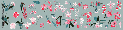 Set of tropical flowers in minimal style