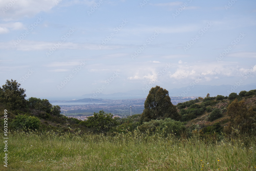 custom made wallpaper toronto digitalPaesaggio
