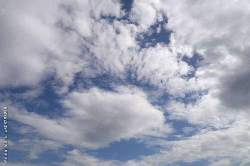 Obraz premium SAMSUNG CAMERA PICTURES