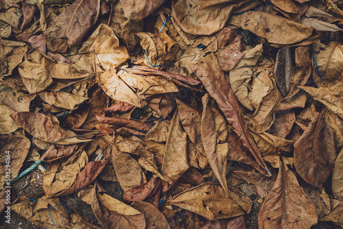 The texture of dry autumn brown leaves on the ground