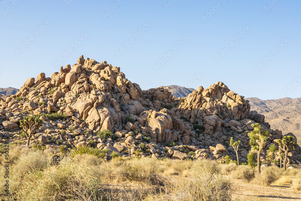 Rocky landscape in the middle of the desert Rocky landscape in the middle of the desert