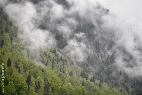 Dramatic fog over green forest and dark mood in the mountains - Obersee Königssee Alps