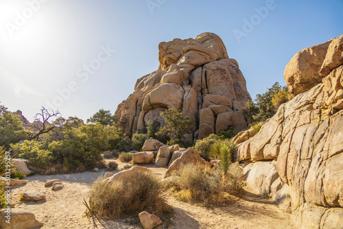 Rocky landscape in the middle of the desert