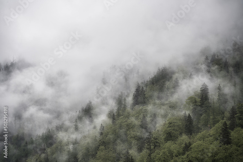 Dramatic fog over green forest and dark mood in the mountains - Obersee Königssee Alps © Hanjin