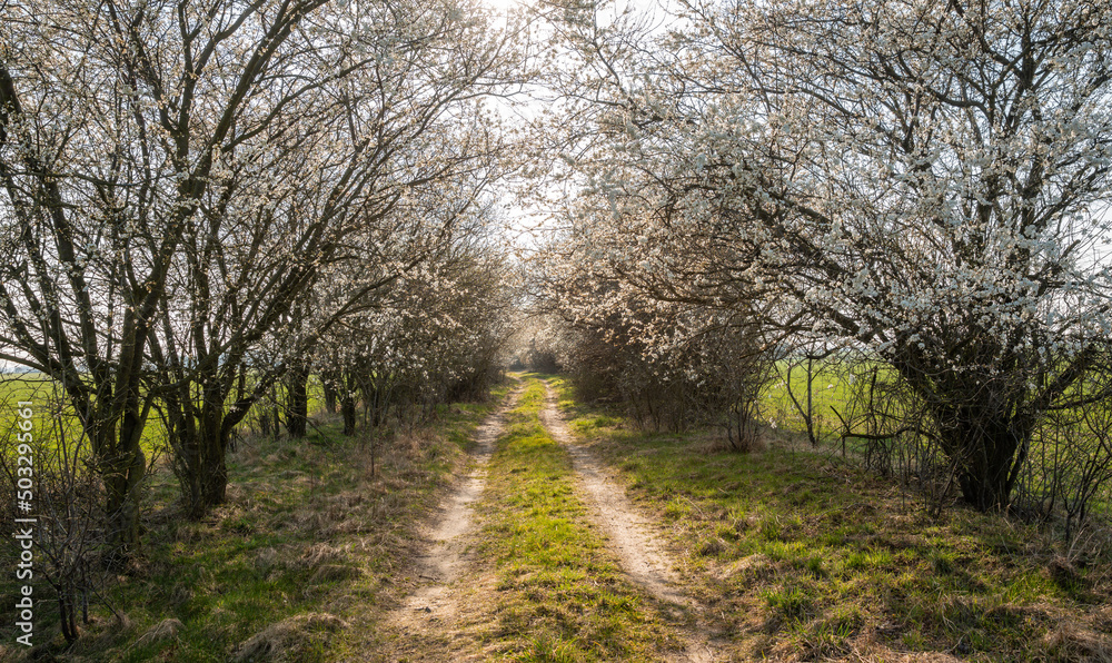 Frühling, Weg