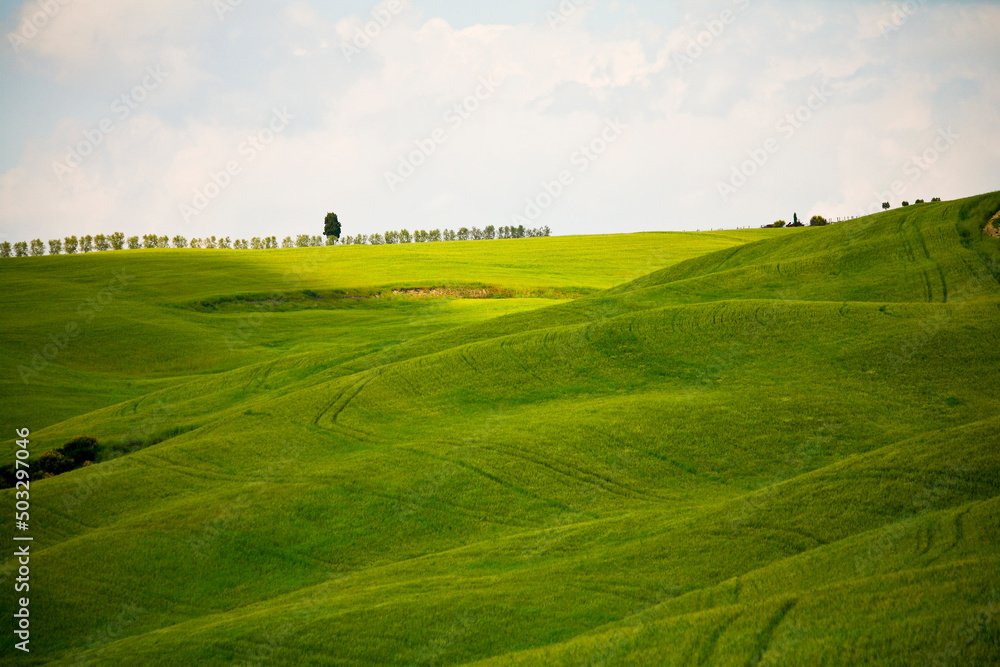Val d'Orcia, panorami delle colline in primavera Val d'Orcia, panorami delle colline in primavera