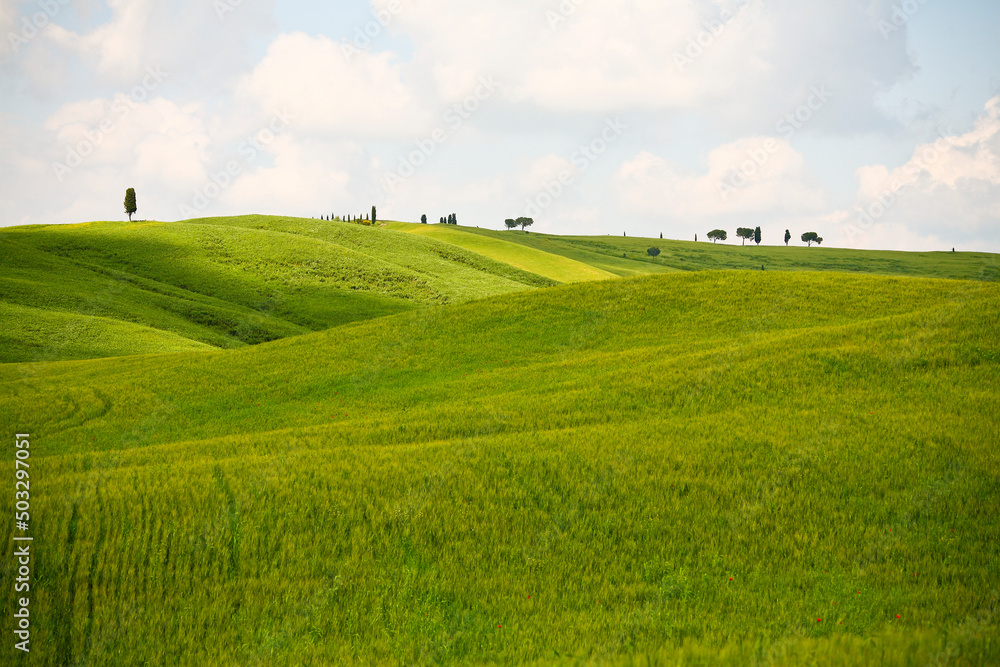 Val d'Orcia, panorami delle colline in primavera