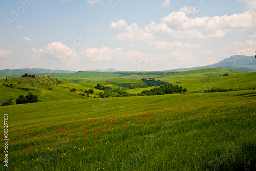 Val d'Orcia, panorami delle colline in primavera