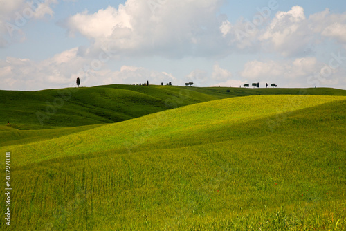 Val d'Orcia, panorami delle colline in primavera