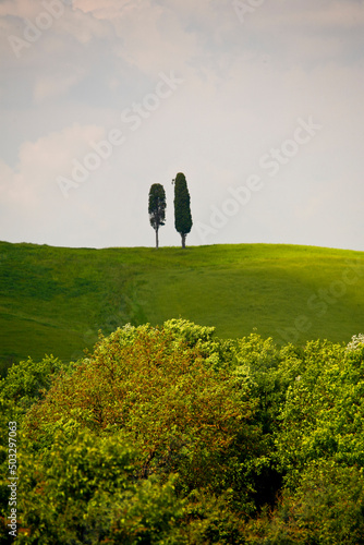 Val d'Orcia, panorami delle colline in primavera photo