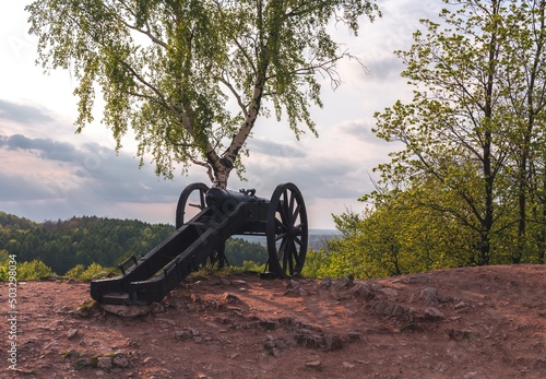 Obraz na płótnie Old English cannon artillery on a hill at Chęciny, Poland w salonie