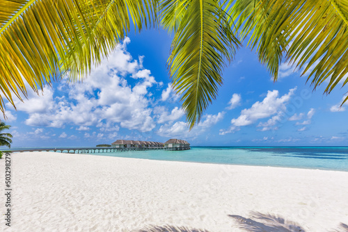 Fantastic Maldives land beach, coastline with palm trees, white sand and water villas. Luxury summer destination scenic, travel landscape. Beautiful exotic seaside nature beach. Amazing resort holiday © icemanphotos