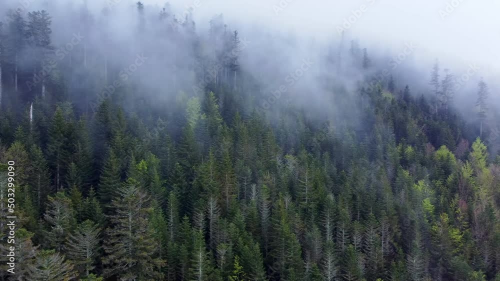 Aerial slow orbiting view of dark mountain forest with moody white clouds in Vosges, France 4K Aerial slow orbiting view of dark mountain forest with moody white clouds in Vosges, France 4K