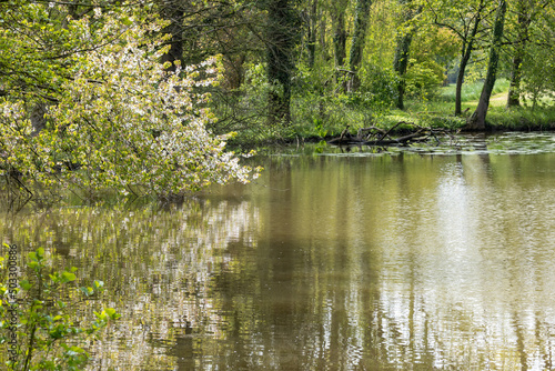 lake in the park