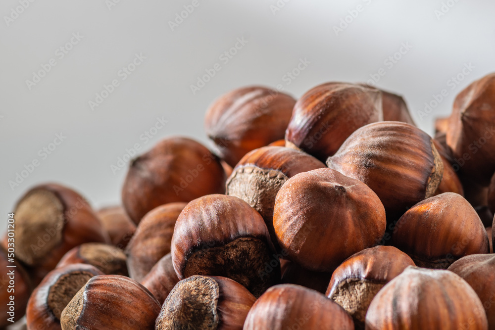 Hazelnuts in the shell. Round filbert, ripe fruit of a Corylus avellana hazel shrubs. Hazelnuts in the shell. Round filbert, ripe fruit of a Corylus avellana hazel shrubs.