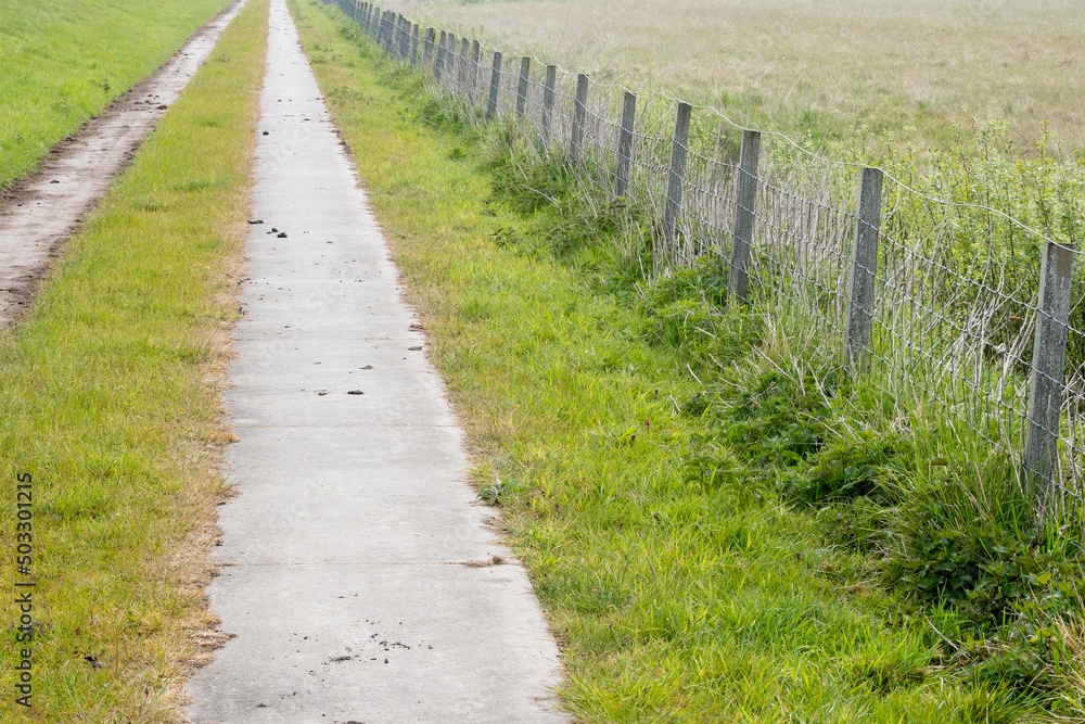 path through the field