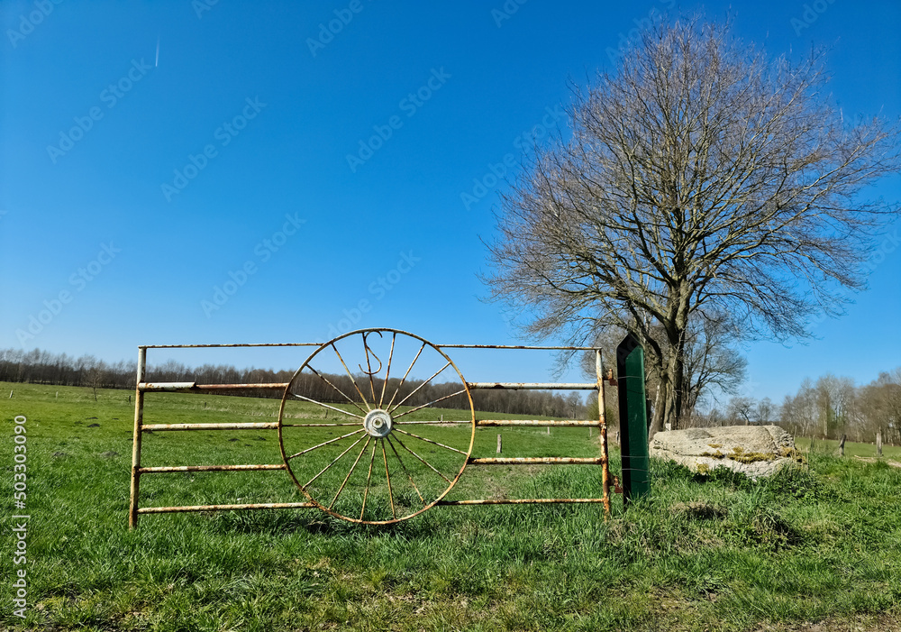 Φωτογραφία Panorama of a northern european country landscape with fields and green grass