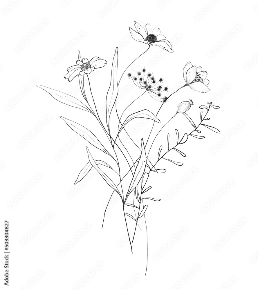 Botanic outline wildflower bouquet. Hand drawn floral abstract pencil sketch field flower arrangement isolated on white background line art illustration - obrazy, fototapety, plakaty 