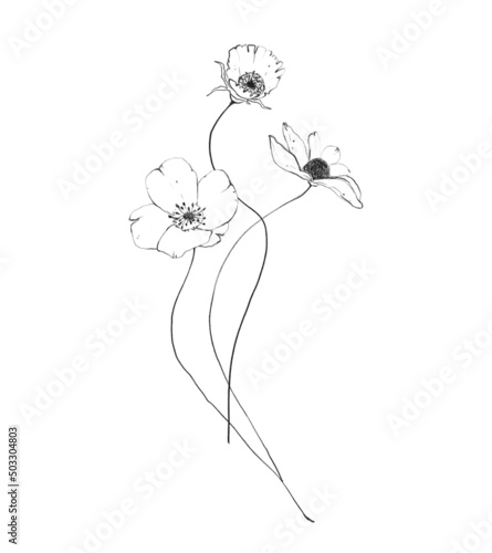 Botanic outline wildflower bouquet. Hand drawn floral abstract pencil sketch field flower arrangement isolated on white background line art illustration