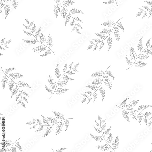 Seamless pattern with botanic outline branch  leaves. Hand drawn floral abstract pencil sketch plant on white background line art illustration for textile  fabric  packaging