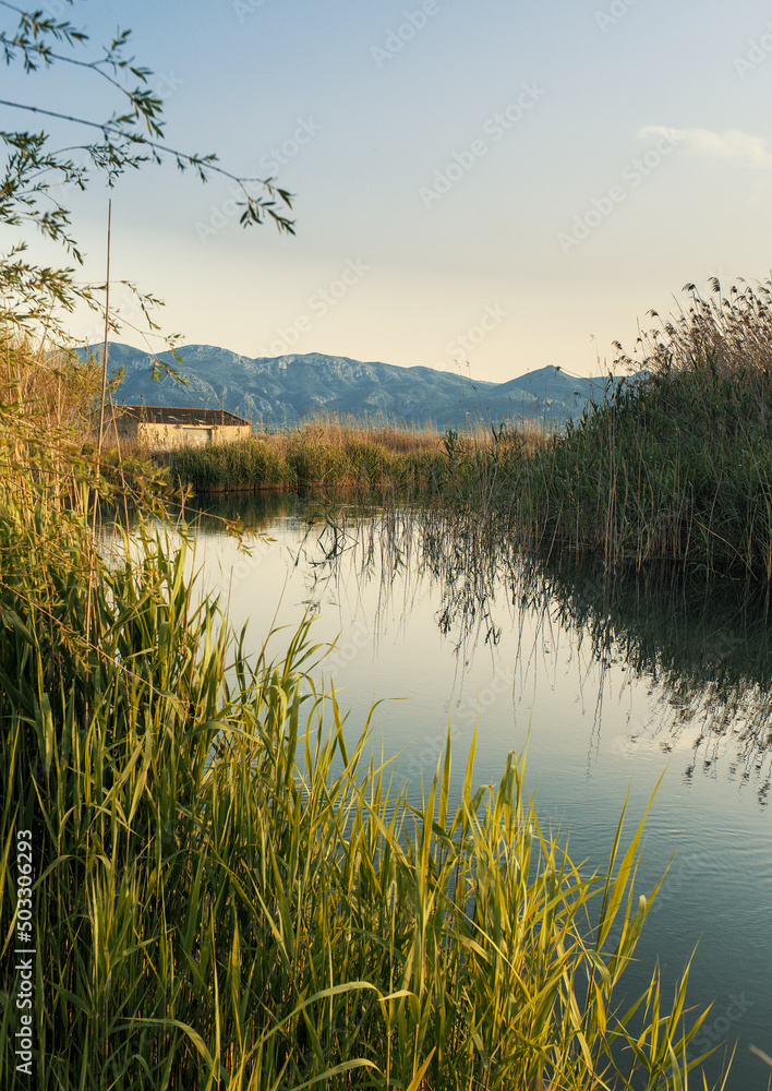 Landscape of a wetland and mountains in the background Landscape of a wetland and mountains in the background