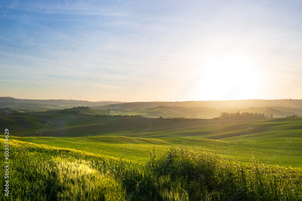 Unique green landscape in Orcia Valley, Tuscany, Italy. Morning light with mist and fog over cultivated hill range and cereal crop fields.