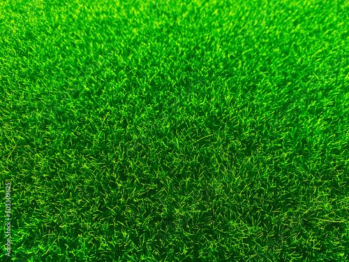 Green grass texture background grass garden concept used for making green background football pitch, Grass Golf, green lawn pattern textured background..