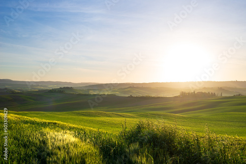 Unique green landscape in Orcia Valley  Tuscany  Italy. Morning light with mist and fog over cultivated hill range and cereal crop fields.