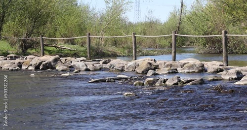 Brug Molenplas in the Oude Maas river, stepping stones used as a bridge, wooden poles and rope fences, flowing water, trees with green foliage, sunny day in Stevensweert, South Limburg, Netherlands photo