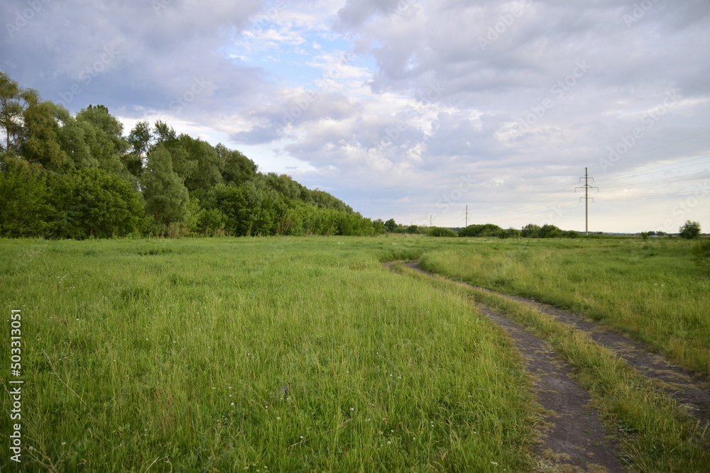 Landscape, dirt road through a blooming rapeseed field. A dirt road through a blooming field. Ulyanovsk, Russia. Landscape, dirt road through a blooming rapeseed field. A dirt road through a blooming field. Ulyanovsk, Russia.