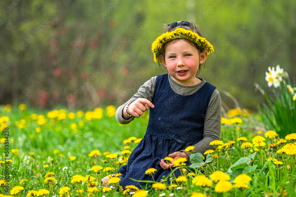 Portrait of a smiling girl with a flower crown in the meadow. Portrait of a smiling girl with a flower crown in the meadow.