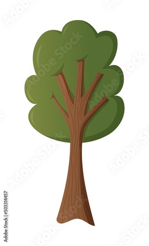 Tree with branches and curly crown. Vector isolated object in cartoon style.