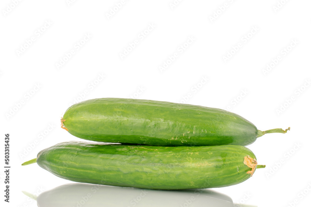 Two juicy smooth cucumbers, macro isolated on a white background. Two juicy smooth cucumbers, macro isolated on a white background.