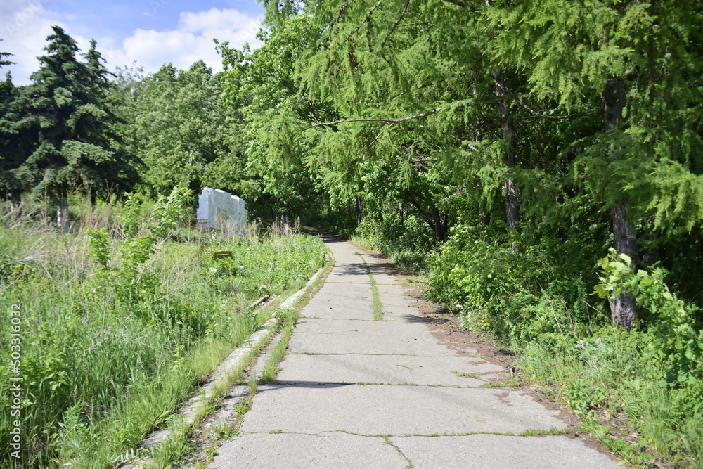 The path in the Friendship of Peoples Park. The widest point of the Volga River. Ulyanovsk (Simbirsk), Russia The path in the Friendship of Peoples Park. The widest point of the Volga River. Ulyanovsk (Simbirsk), Russia