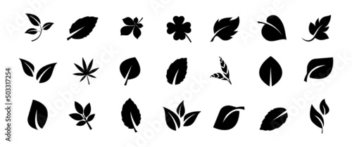 Collection of leafs. Black and white design. Vector illustration. EPS 10