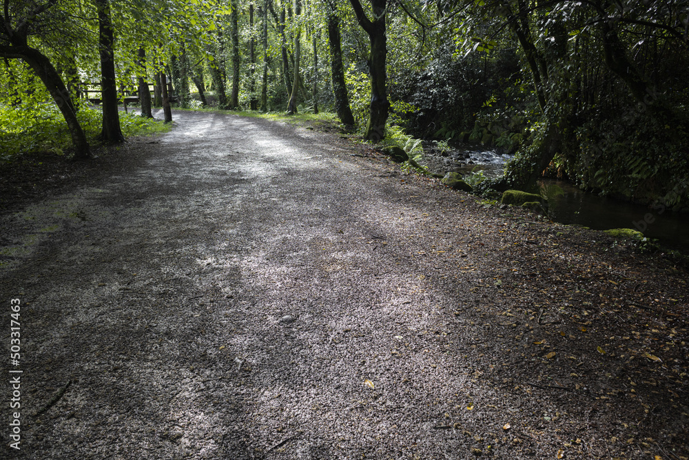 Fototapeta premium Bosques, árboles, ríos, arroyos, playas, mar y verde en las Rías Baixas de Pontevedra Galicia