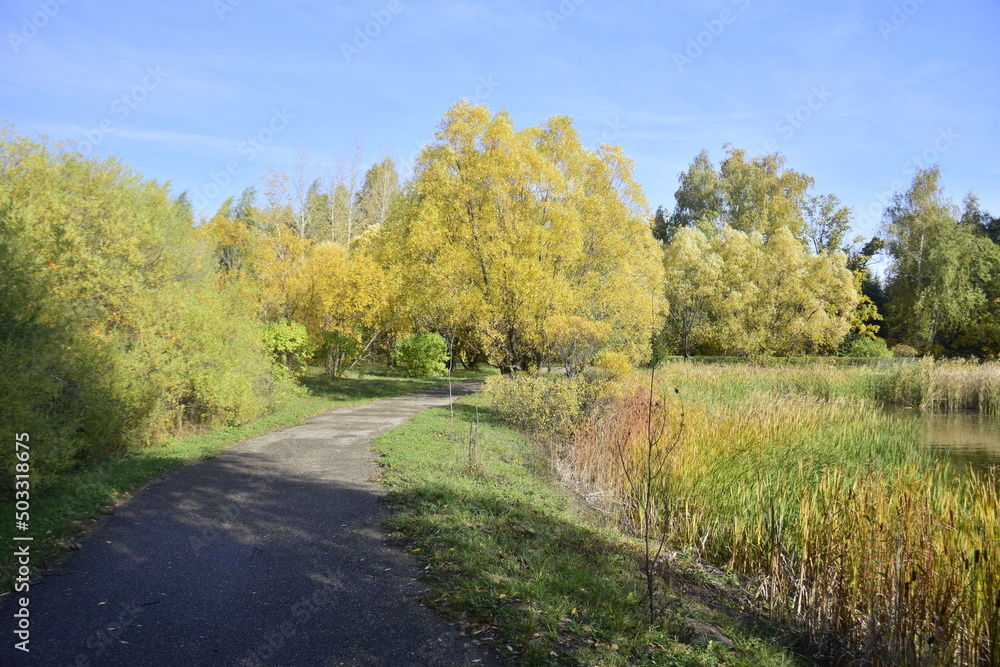 Trees in the autumn arboretum. Ulyanovsk Russia