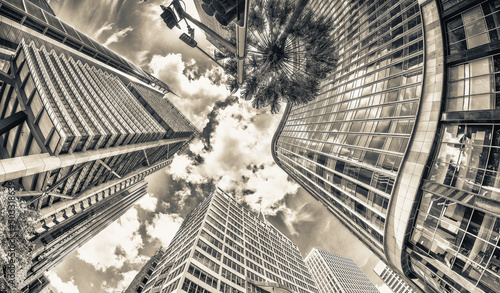 Sydney skyscrapers  view from street level