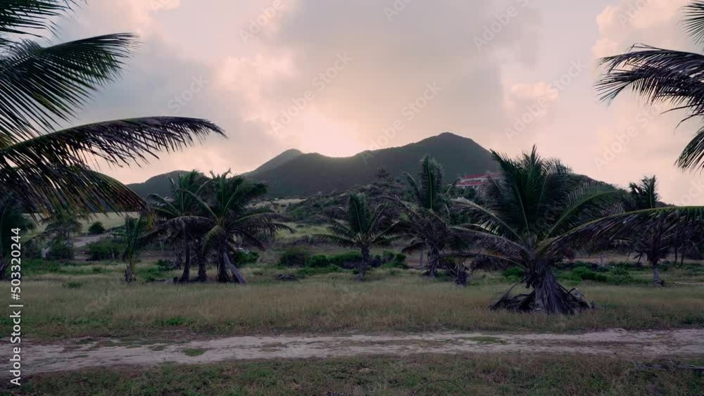 Palm trees swaying in the wind on an island with mountains in the background at sunset with a bright orange sky Palm trees swaying in the wind on an island with mountains in the background at sunset with a bright orange sky