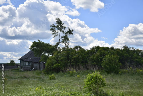 An old ruined wooden farmhouse against a clear sky with clouds. Ulyanovsk Russia.