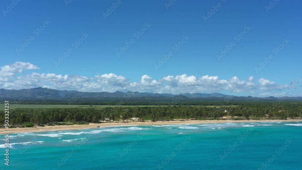 Wild caribbean beach with coconut palm trees and turquoise sea. Tropical landscape. Aerial view from drone Wild caribbean beach with coconut palm trees and turquoise sea. Tropical landscape. Aerial view from drone