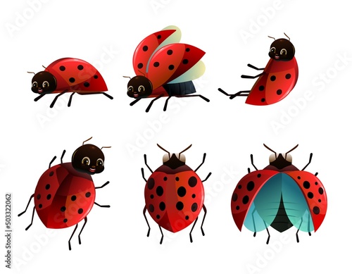 Set of Ladybug red. Wildlife object. Little funny insect. Cute cartoon style. Isolated on white background. Vector