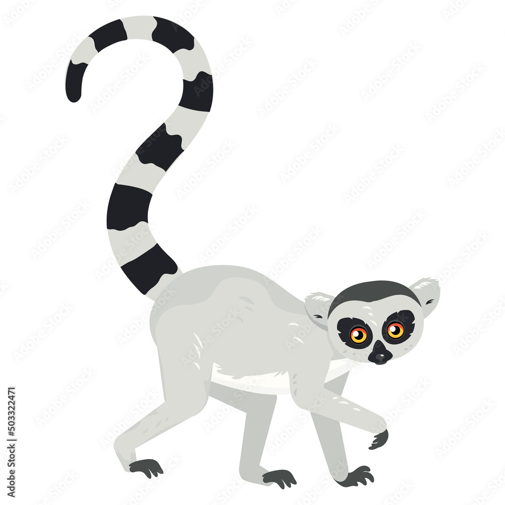 Obraz premium Cartoon lemur catta