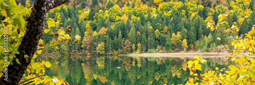 calm landscape with colorful deciduous trees in forest