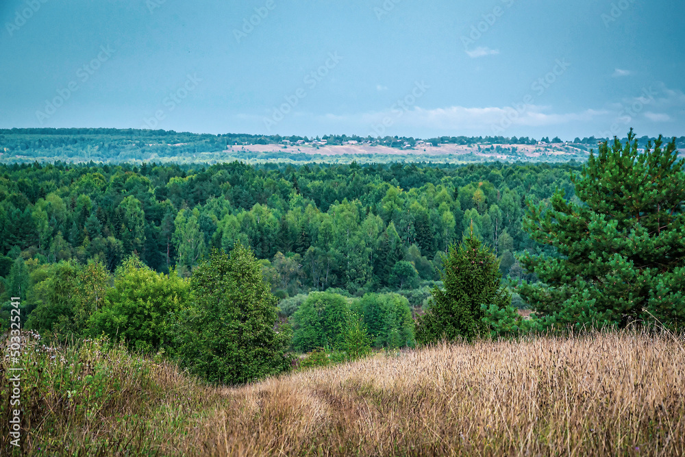 Obraz premium landscape, forest road