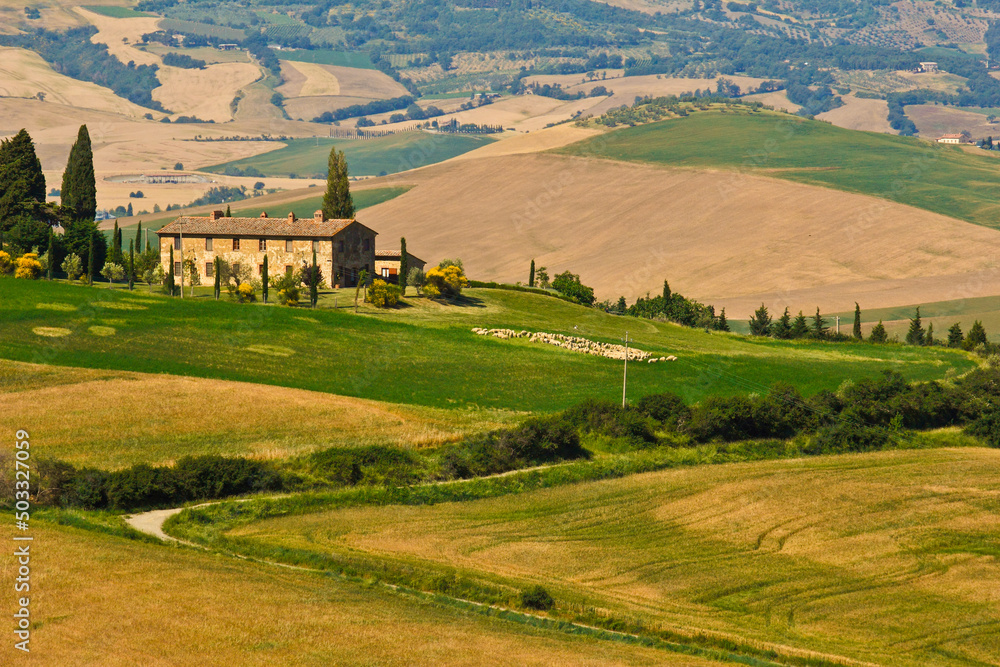 Val d'Orcia,Siena, Toscana,panorami Val d'Orcia,Siena, Toscana,panorami
