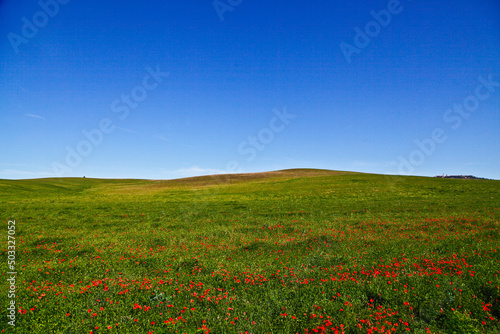 Val d Orcia Siena  Toscana panorami