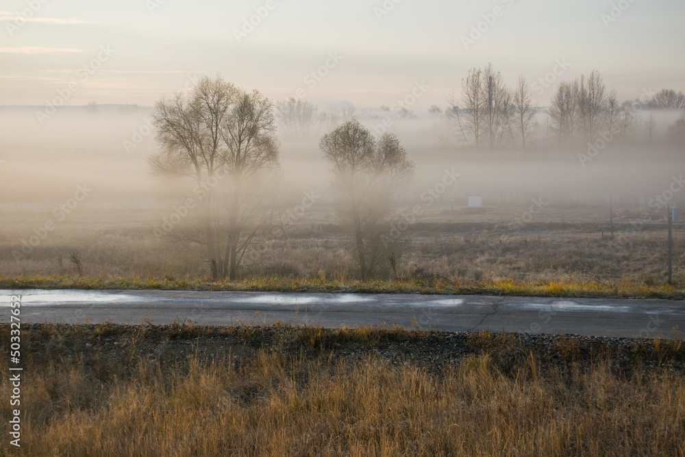 fog on the road along the field at dawn. fog in the autumn field along the highway